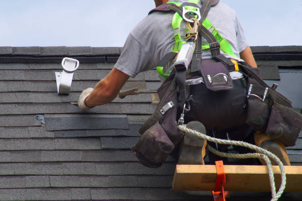 Best Roof Gutter Cleaning  in St Martins, MO